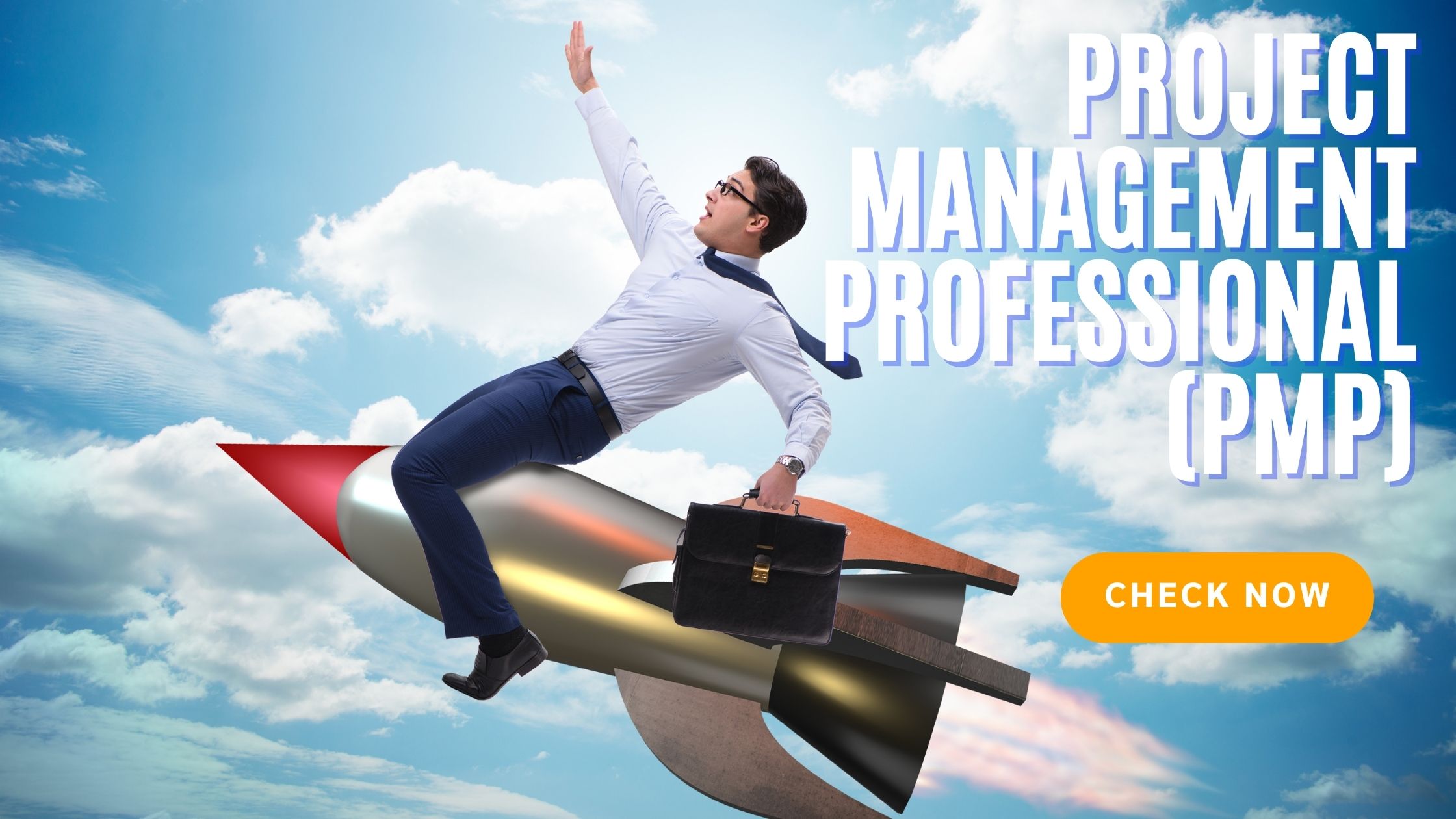 Career path for Project Management Professional (PMP)