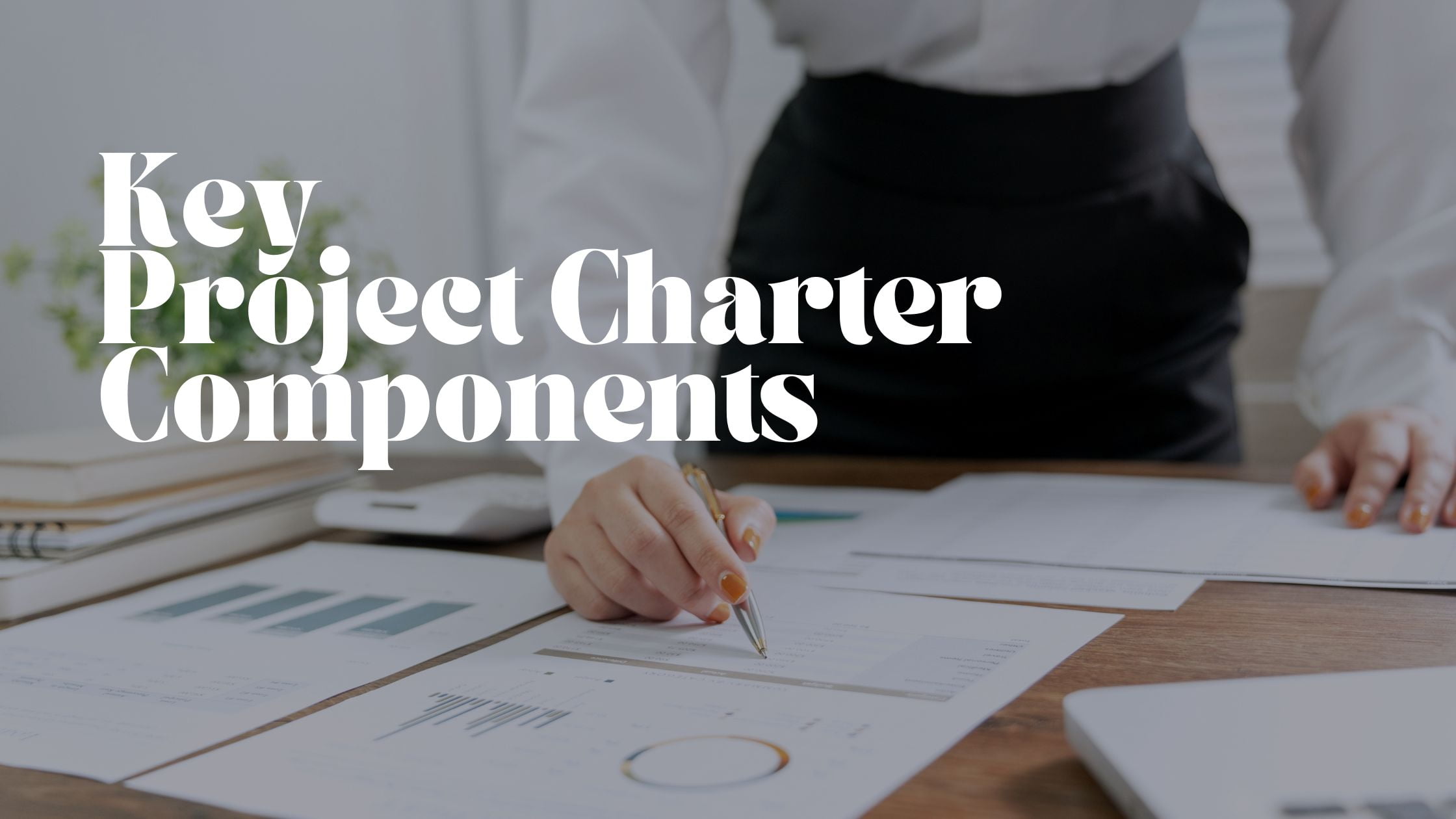 project charter components