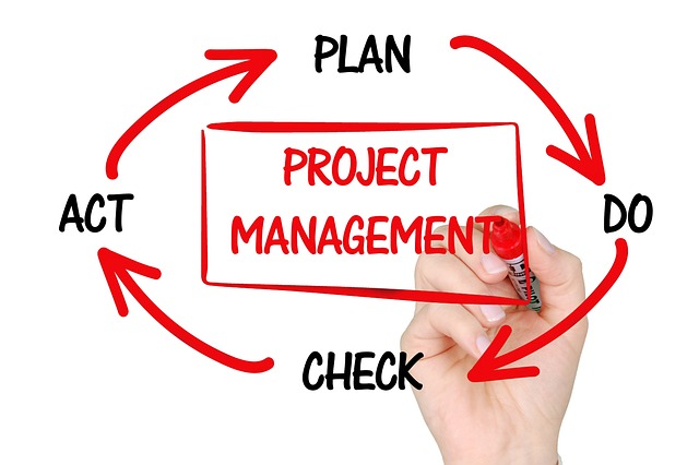 project management knowledge area